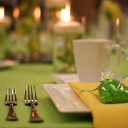 Lime linen with white plates and yellow napkins.